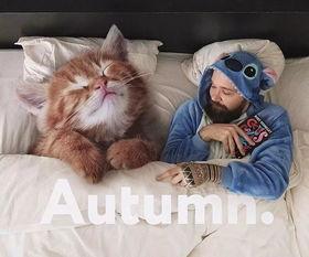 娱乐吃瓜酱给猫照相,猫咪写真集  第3张