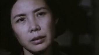 国产经典毛片,光影流转中的时代印记  第3张